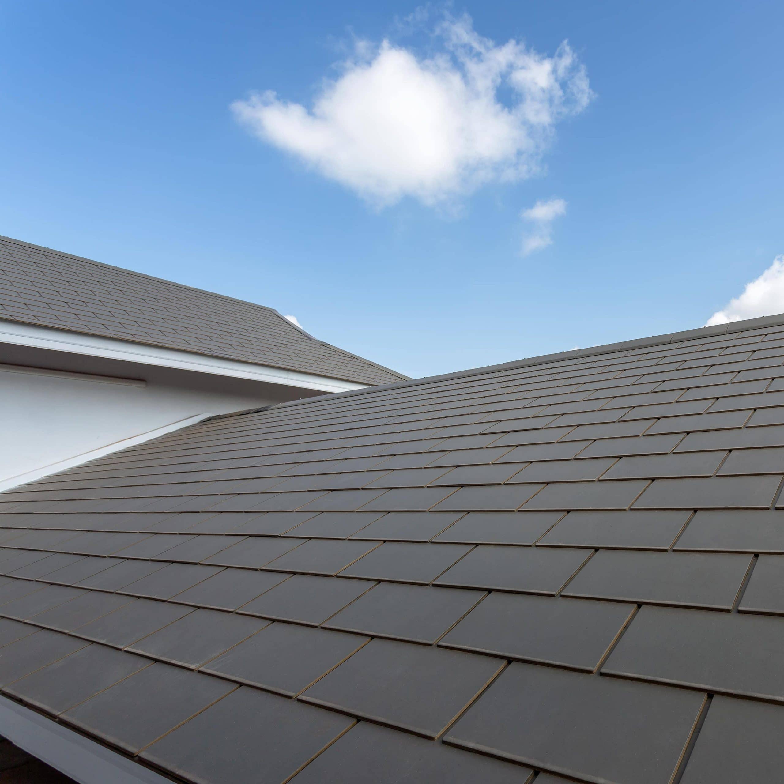 Toro Slates - Image 4
