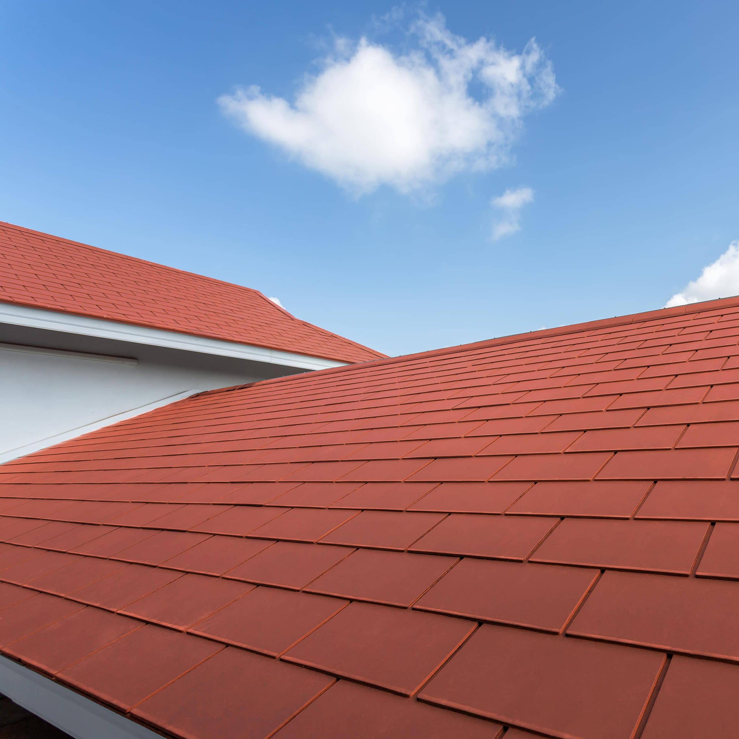 Toro Slates - Image 3