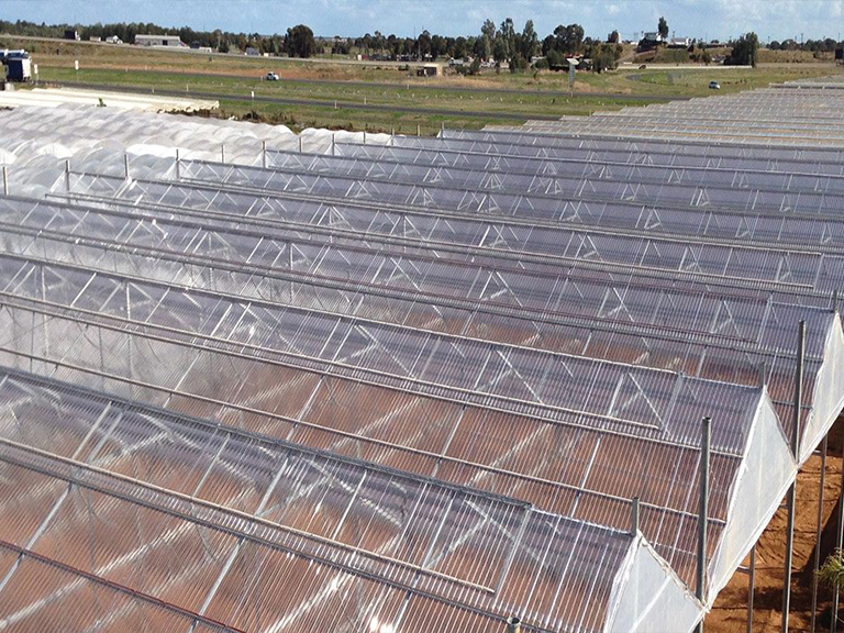 Hi-ten Profile - Image 3